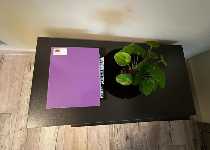 Ml Place 5
